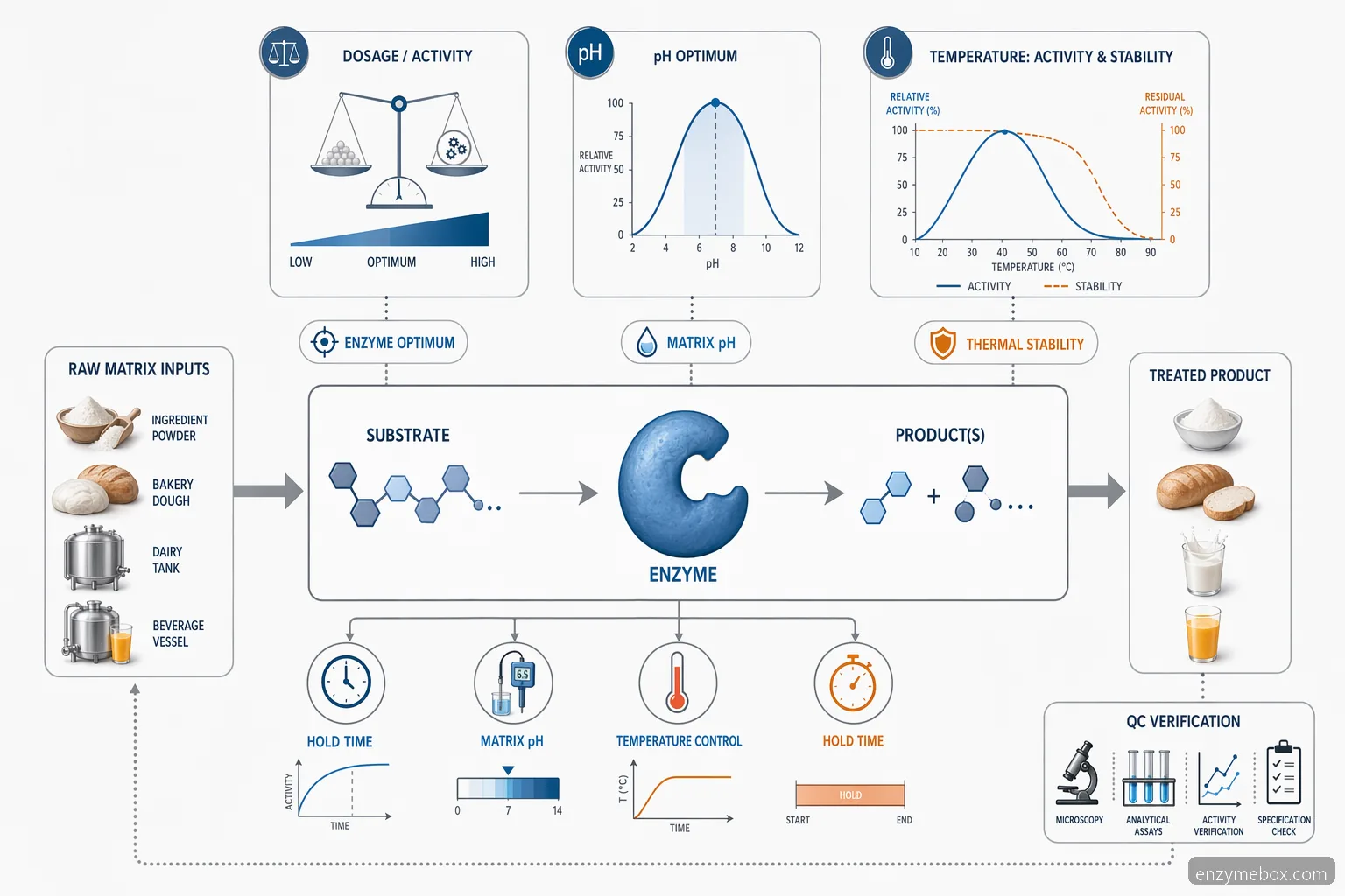 food enzymes dosage pH and temperature diagram mapping activity curves, stability limits, and substrate conversion
