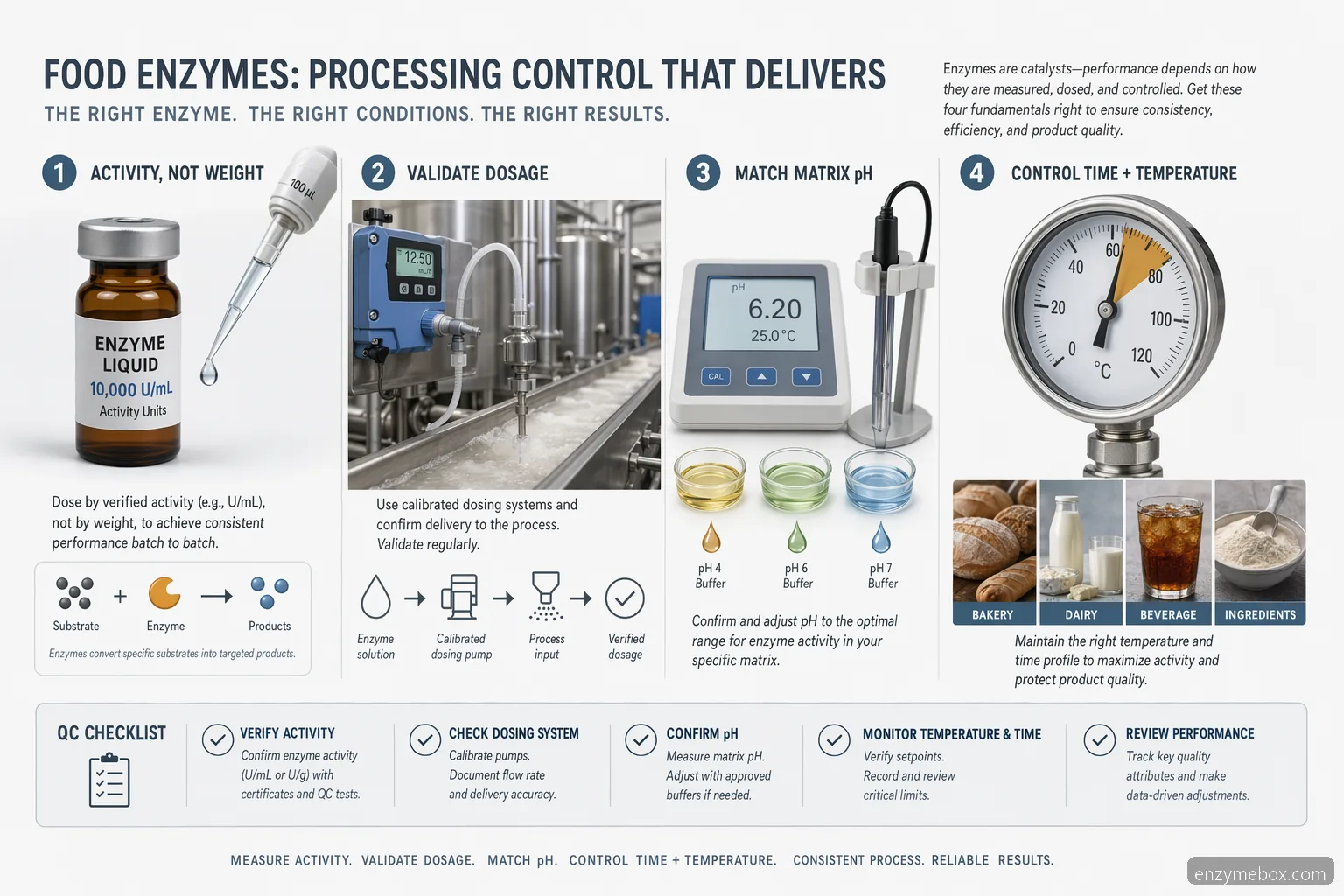 food enzymes for processing guide showing dosage activity, pH control, temperature window, and QC checks